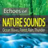 Steven Current - Echoes of Nature Sounds (Ocean Waves, Forest, Rain, Thunder)